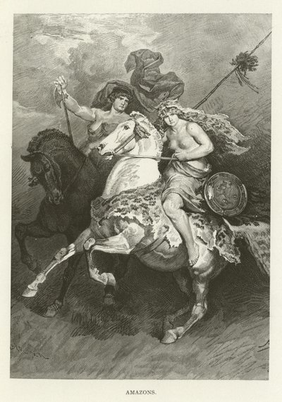 Amazonen von American School