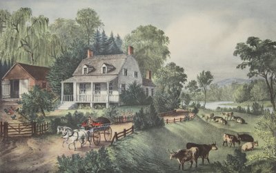 Amerikanisches Heim - Sommer von American School