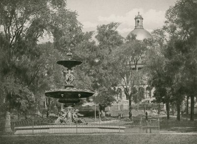 Boston Common von American School