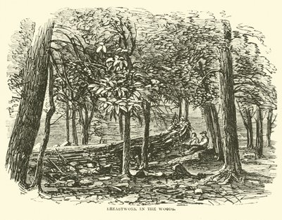 Schanzwerk im Wald, Juli 1863 von American School
