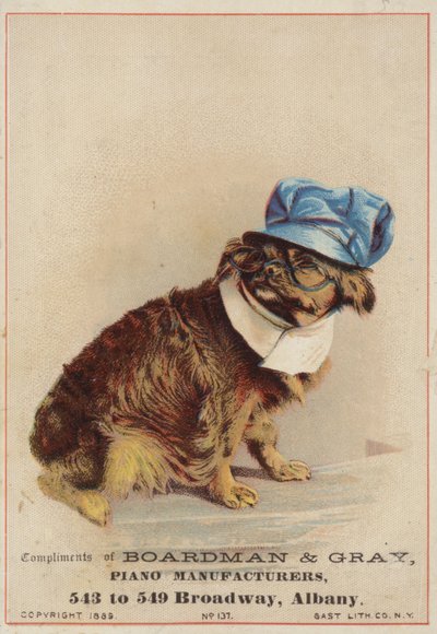 Brauner Hund trägt Hut und Brille von American School
