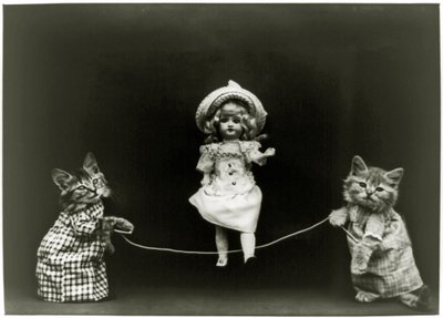 Katzeneugier, 1891 von American School