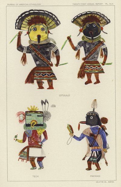 Citulilu, Teuk, Pakwabi von American School