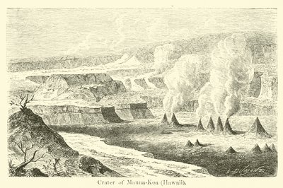 Krater des Mauna-Koa, Hawaii von American School