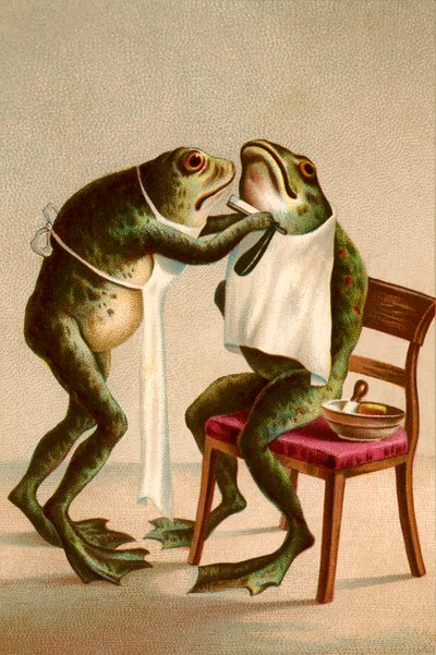 Humorvolle Illustration eines Frosches, der rasiert wird von American School