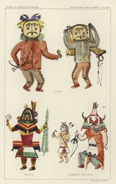 Kokle, Citoto, Sumaikoli und Yaya von American School