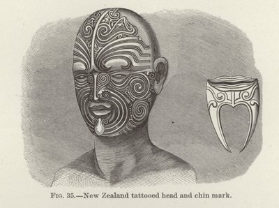 Tätowierter Kopf und Kinnzeichen aus Neuseeland von American School