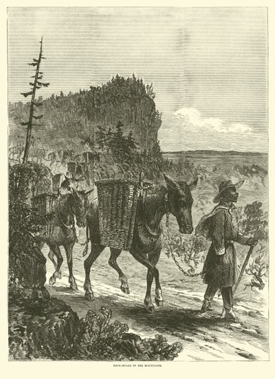 Packesel in den Bergen, Februar 1863 von American School