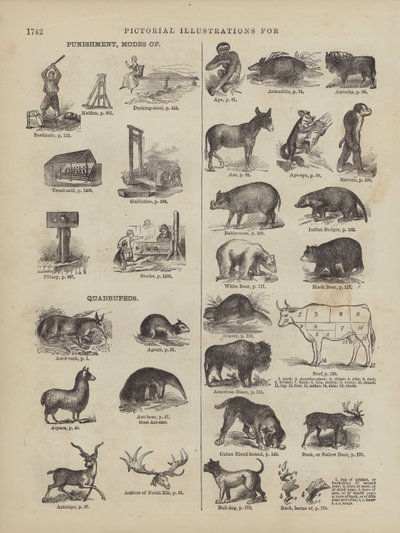 Seite aus Websters vollständigem Wörterbuch (George Bell) von American School