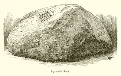 Plymouth Rock von American School