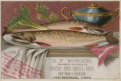 S P Burgess, Werbekarte von American School