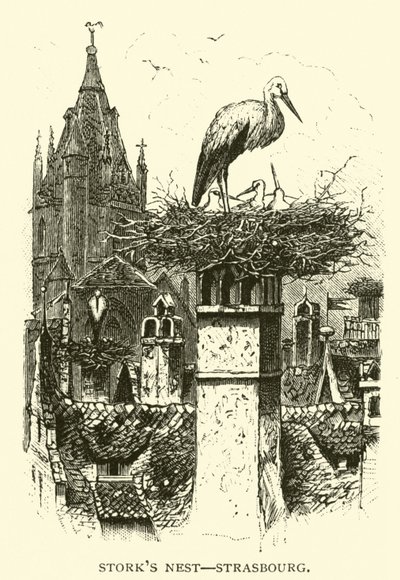 Storchennest, Straßburg von American School