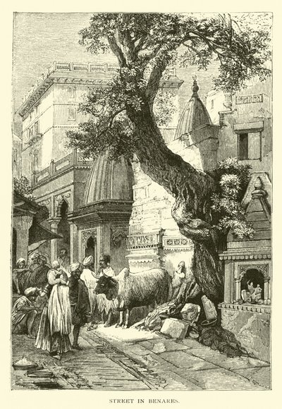 Straße in Benares von American School