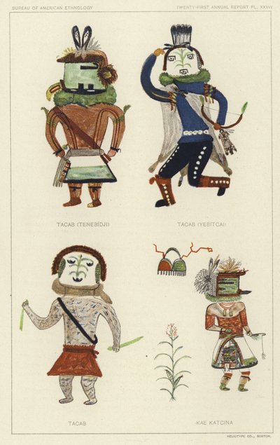 Tacab (Tenebidji), Tacas (Yebitcai), Tacab, Kae Katcina von American School