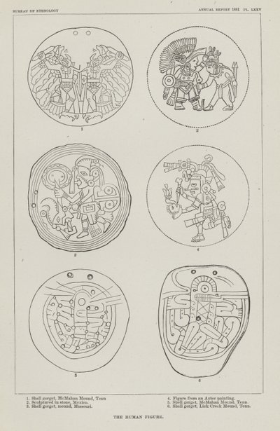 Die menschliche Figur von American School