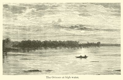 Der Orinoco bei Hochwasser von American School