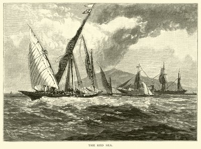 Das Rote Meer von American School
