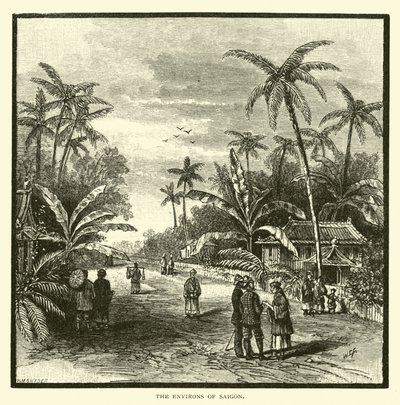 Die Umgebung von Saigon von American School