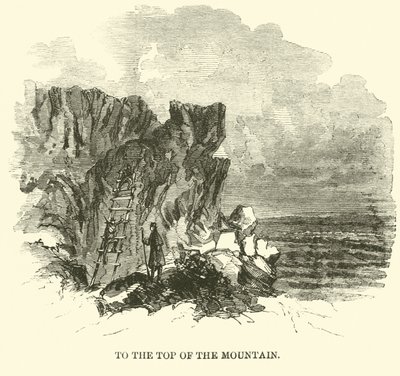 Zum Gipfel des Berges, November 1863 von American School