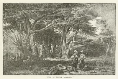 Blick auf den Libanon von American School