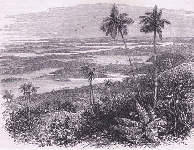 Ansicht der Bermudas, Illustration aus Cassell