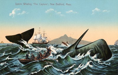 Walfänger, die einen Pottwal vor New Bedford, Massachusetts, harpunieren von American School