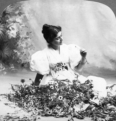 Sag mir Gänseblümchen, liebt er mich? von American Stereoscopic Company