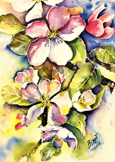 Frühlingsapfelblüten von Anda Bieza
