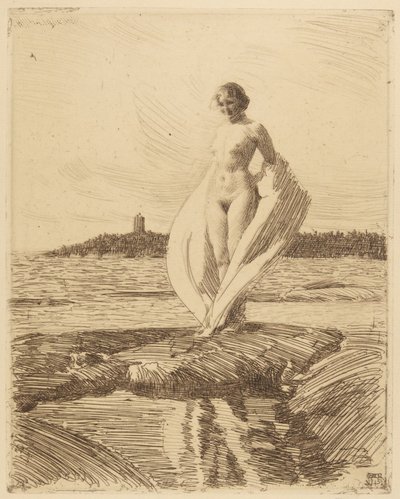 Der Schwan von Anders Leonard Zorn