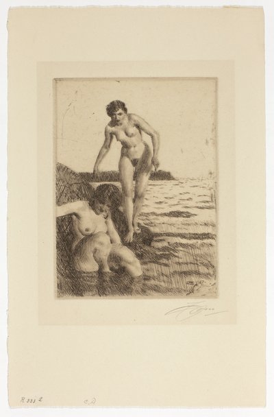Auf der Insel Hemsö von Anders Zorn