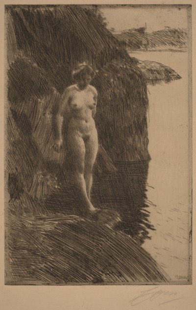 Abgrund von Anders Zorn