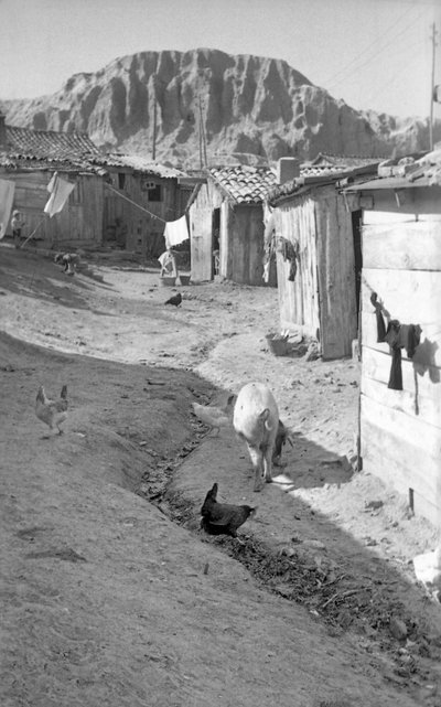 Crotone - Tiere unter den Ställen von Ando Gilardi