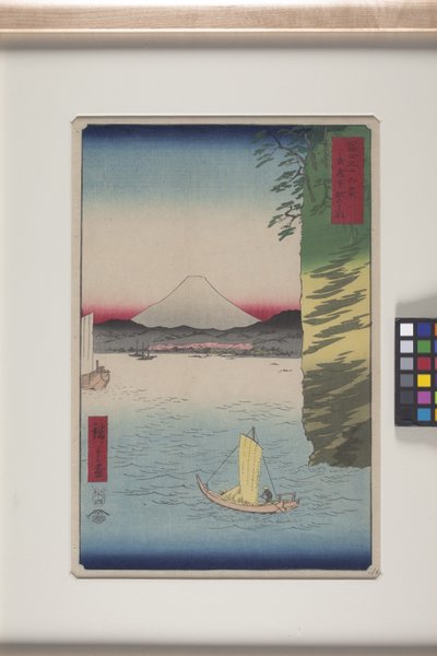 Kirschblüten in Honmoku, Provinz Musashi von Ando or Utagawa Hiroshige