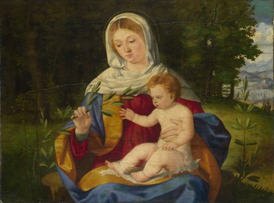 Die Jungfrau und das Kind mit einem Olivenspross, ca. 1515 von Andrea Previtali