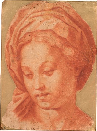 Madonna Borghese von Andrea del Sarto