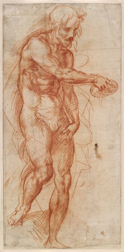 Studie des Heiligen Johannes des Täufers, ca. 1518 von Andrea del Sarto