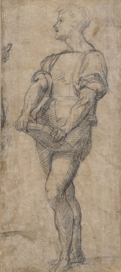 Stehender Jüngling, der ein Buch hält, ca. 1515 von Andrea del Sarto