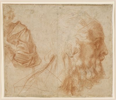  von Andrea del Sarto