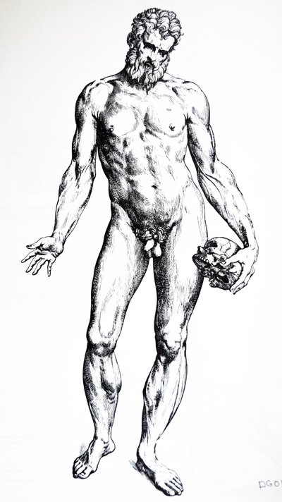 Die Platten aus dem siebten Buch der De Humani Corporis Fabrica von Andreas Vesalius