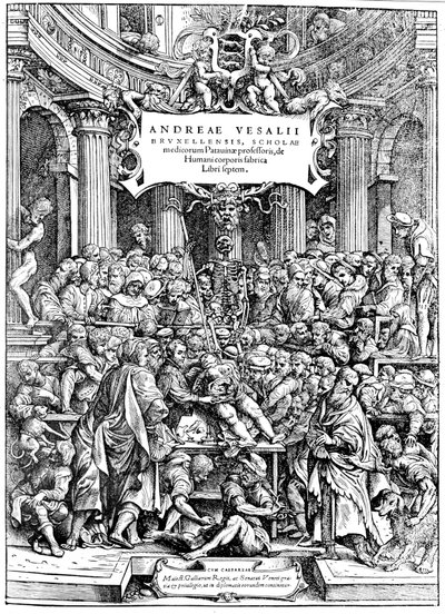 Titelseite von Andreas Vesalius De Humani Corporis Fabrica, zeigt Vesalius beim Sezieren eines Körpers, 1543 von Andreas Vesalius