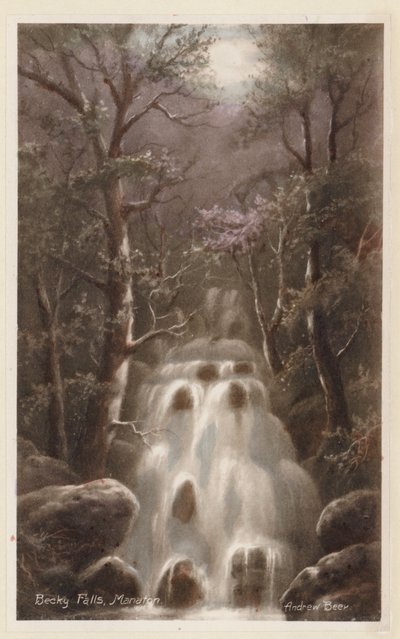 Dartmoor: Becky Falls, Manaton von Andrew Beer