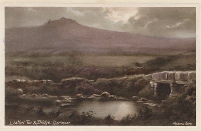 Leather Tor und Brücke, Dartmoor von Andrew Beer