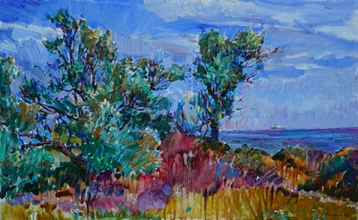 Lebendige Küstenlandschaft von Andrii Kutsachenko