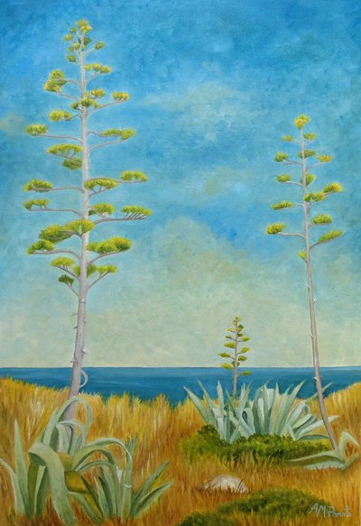 Agave am Ozean von Angeles M. Pomata