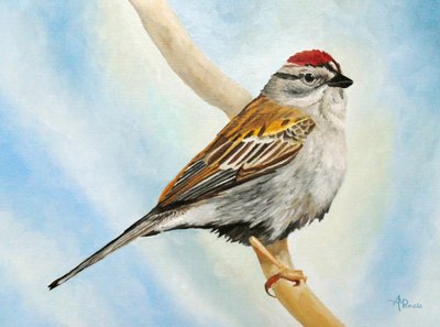 Spatz auf Ast von Angeles M. Pomata