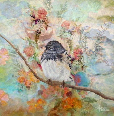 Träumender Gartenvogel von Angeles M. Pomata