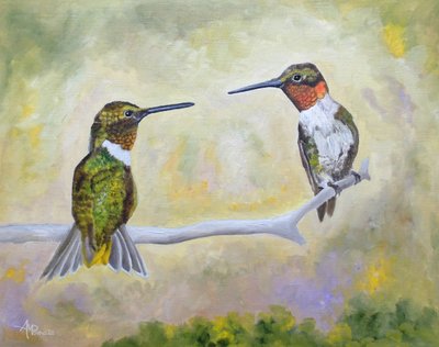 Kolibri-Paar auf Sitzplatz von Angeles M. Pomata