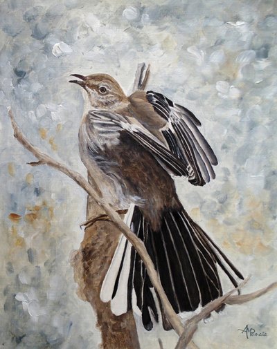 Spottdrossel mit ausgebreiteten Flügeln von Angeles M. Pomata
