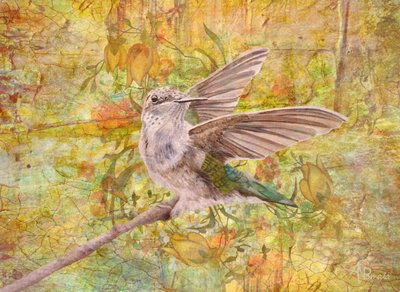 Frühlings Tanz von Angeles M. Pomata