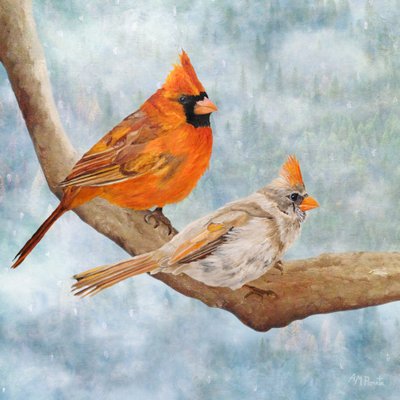 Winterkardinalpaar von Angeles M. Pomata